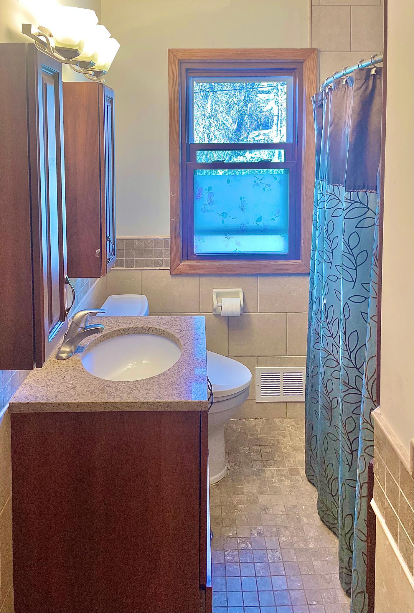 1885 3rd Street East St. Paul, MN 55119 - Photo 5 of 12