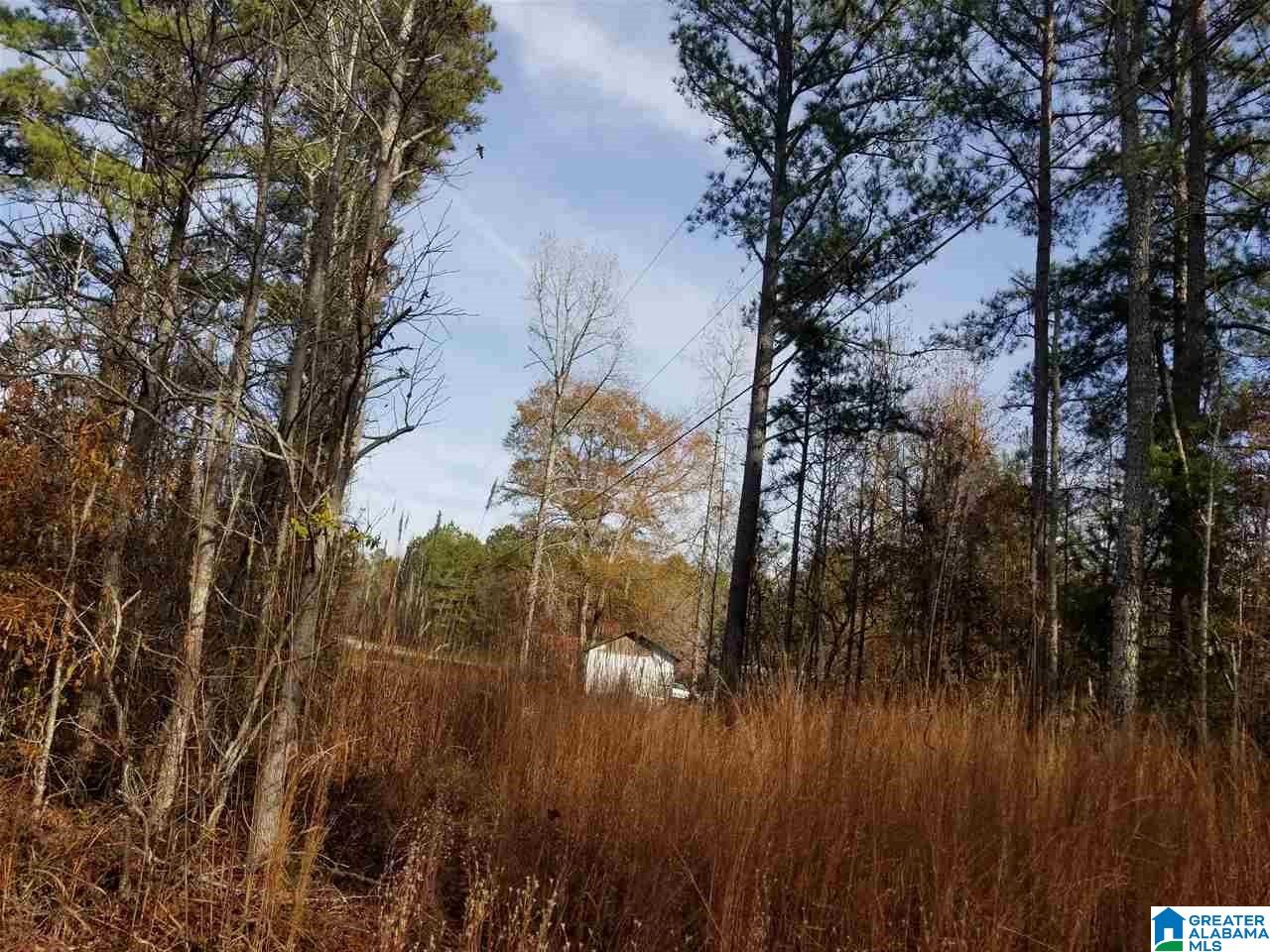 0 Old Creek Road, Unit 1 Ohatchee, AL 36271 - Photo 2 of 8