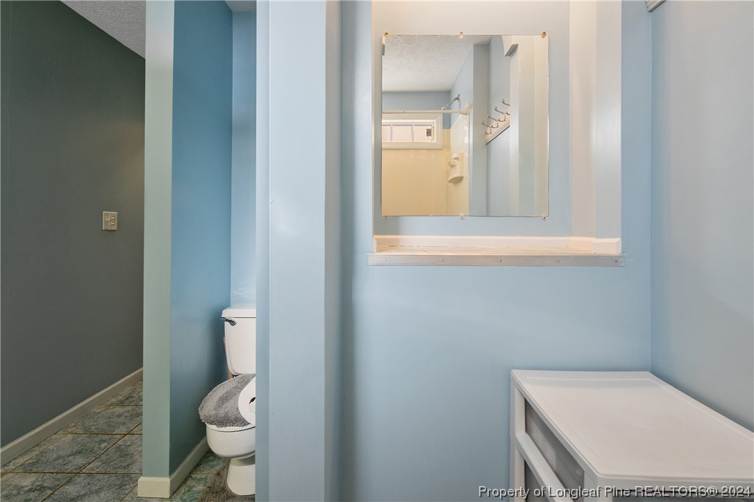 2249 Ballance Farm Road St. Pauls, NC 28384 - Photo 33 of 50 Gallery Image 33