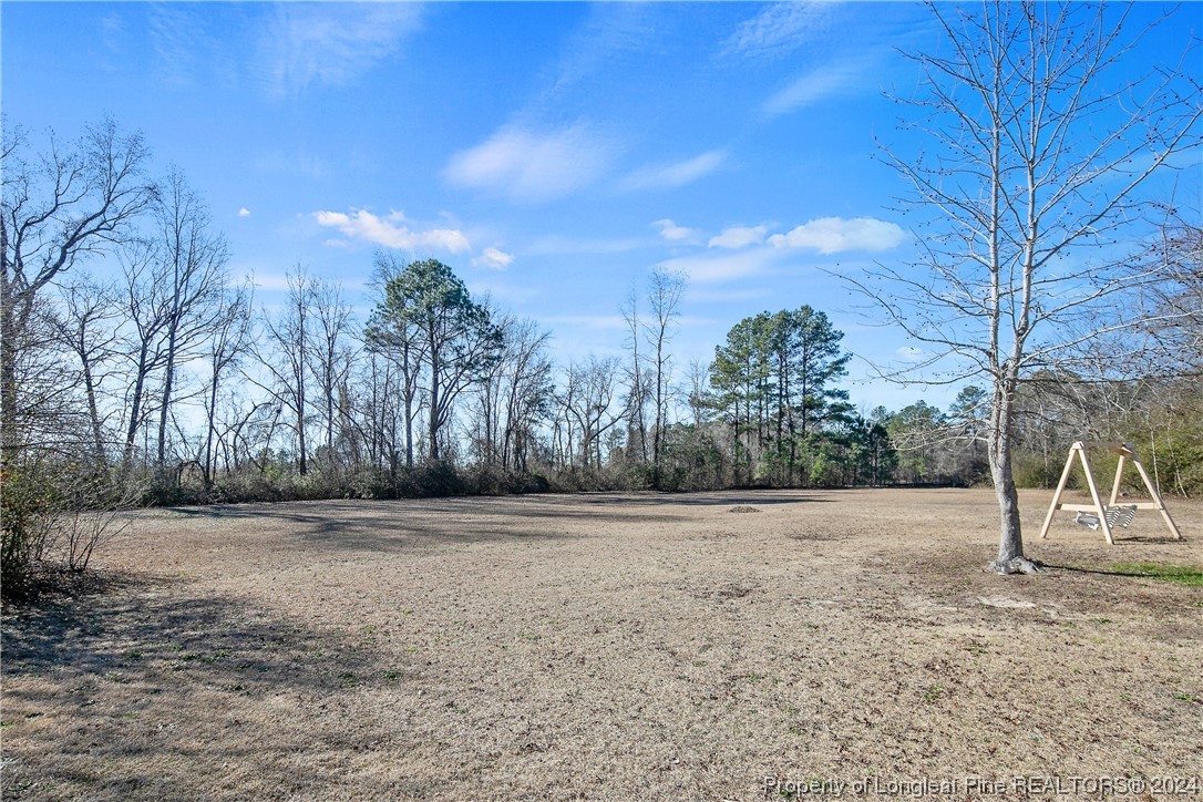 2249 Ballance Farm Road St. Pauls, NC 28384 - Photo 48 of 50 Gallery Image 48