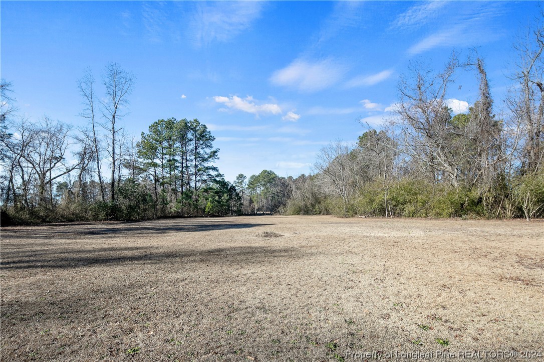 2249 Ballance Farm Road St. Pauls, NC 28384 - Photo 49 of 50 Gallery Image 49