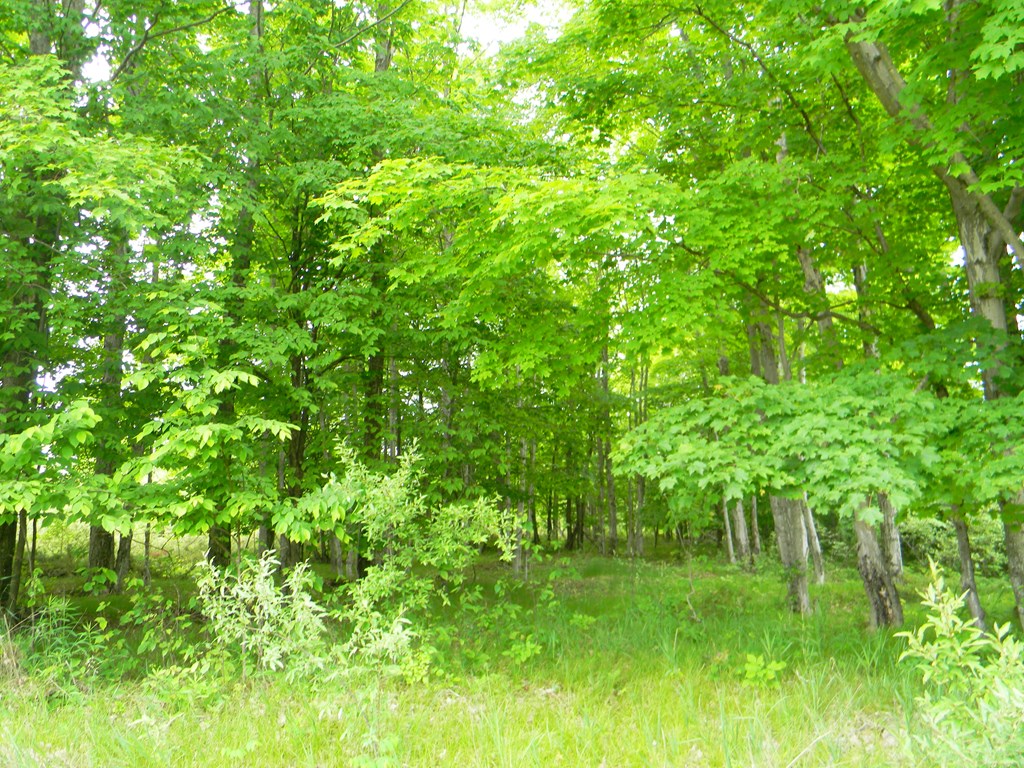 Rasner Way Fish Creek, WI 54212 - Photo 11 of 14