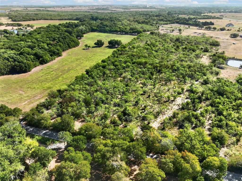 0 Novy Road Ennis, TX 75119 - Photo 11 of 25 Expansive natural landscape featuring dense tree coverage, open grassy areas, and a visible pond