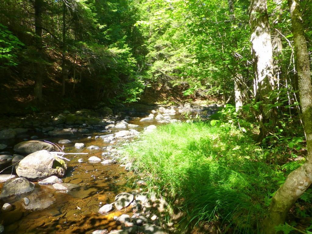 Tbd Crystal Vale Road New Sharon, ME 04955 - Photo 6 of 15 Photo