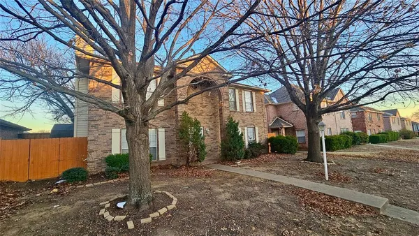 a tree in the middle of a yard