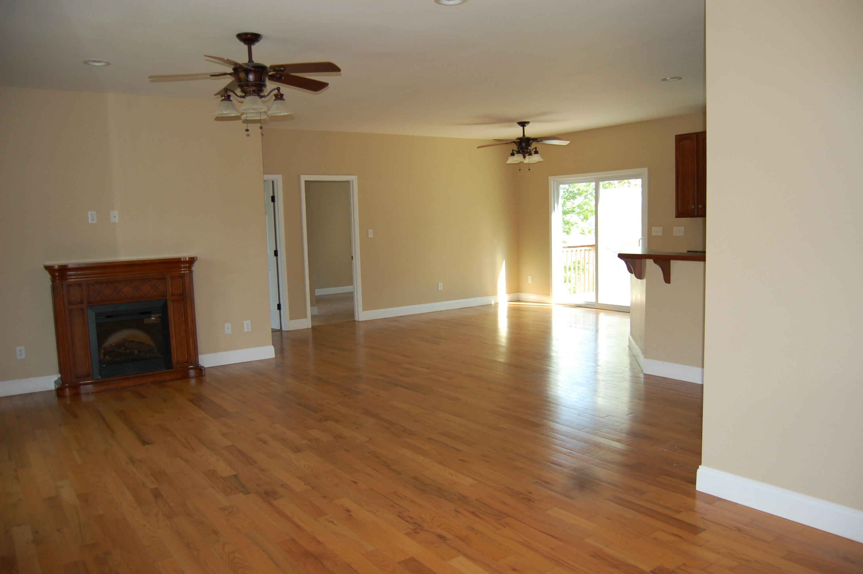 4694 Meadors Spur Road Moneta, VA 24121 - Photo 12 of 25 Living Room w/gas fireplace