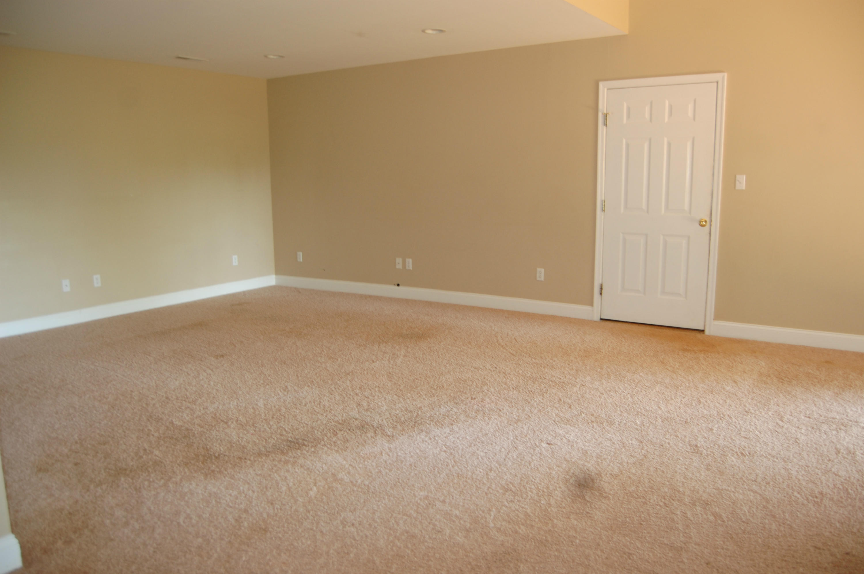 4694 Meadors Spur Road Moneta, VA 24121 - Photo 20 of 25 Lower Level Family Room
