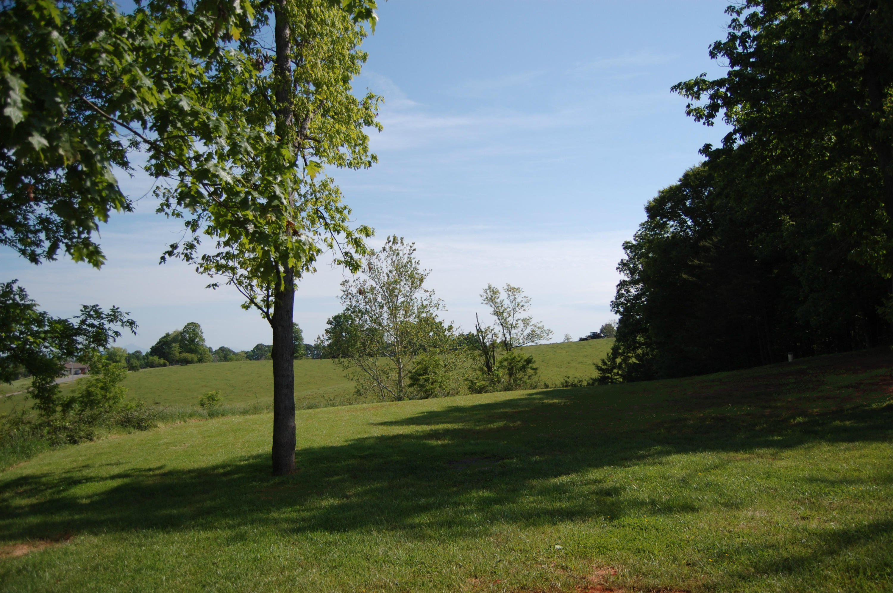 4694 Meadors Spur Road Moneta, VA 24121 - Photo 24 of 25 Beautiful back yard