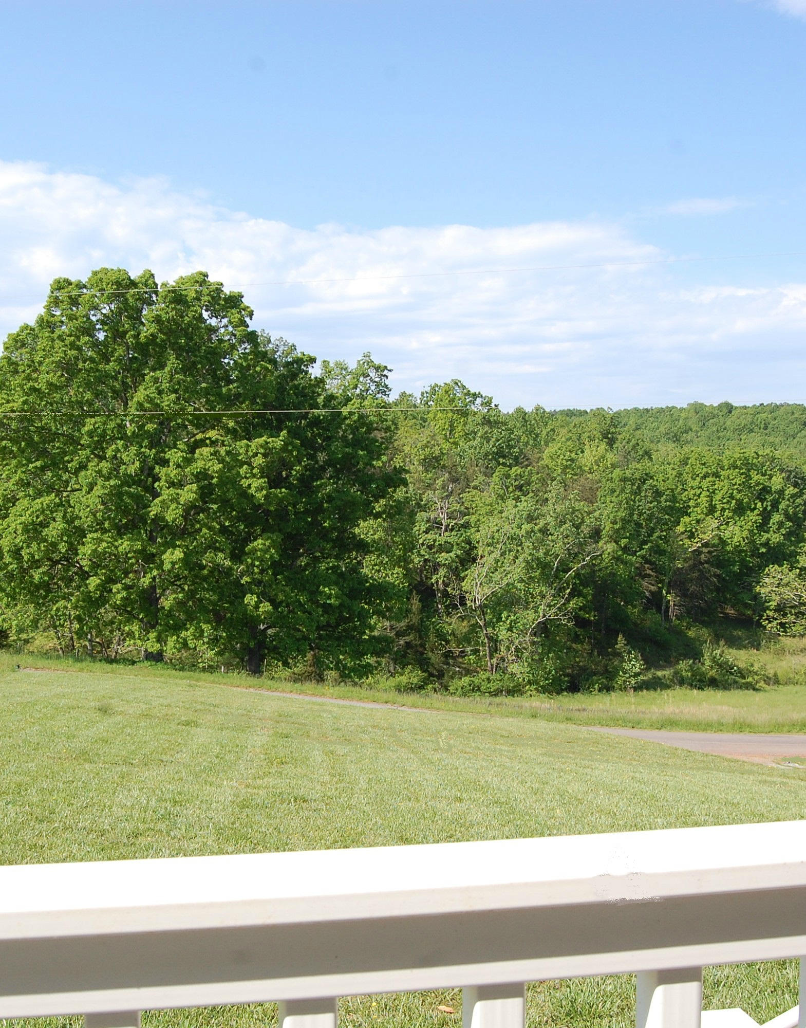 4694 Meadors Spur Road Moneta, VA 24121 - Photo 4 of 25 Views of the front yard