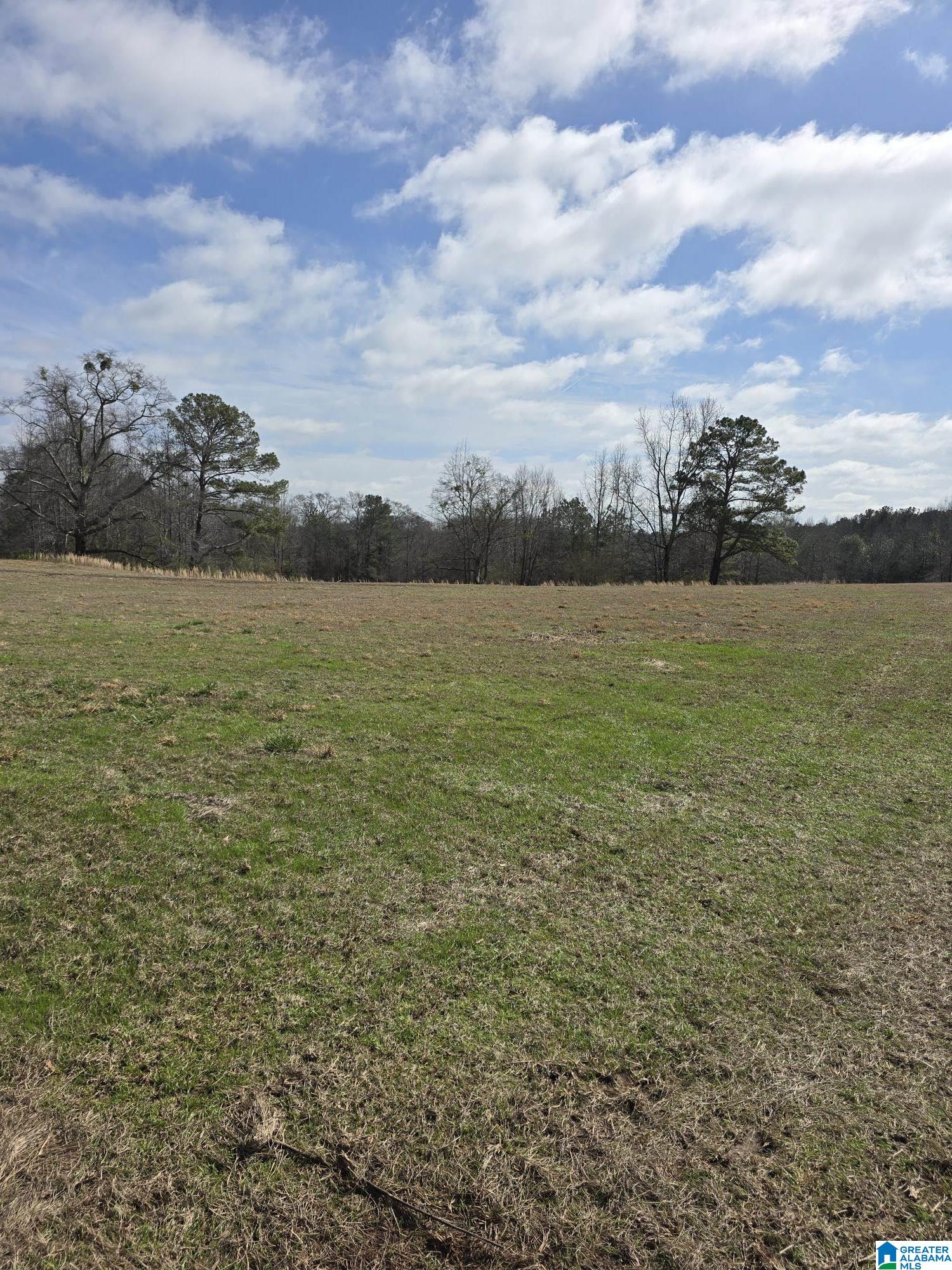 1901 Baker Holley Road, Unit 1 Clanton, AL 35045 - Photo 2 of 6 Gallery Image 2