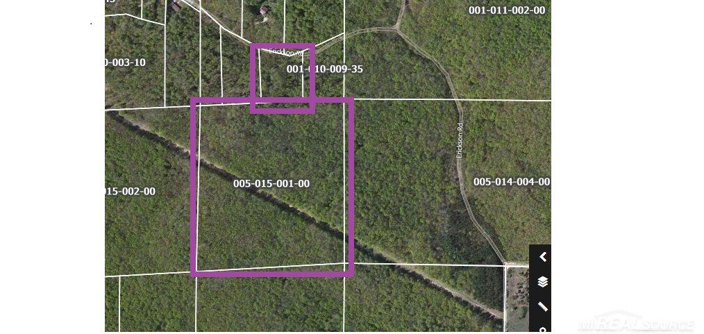 0 North Erickson Road Boyne City, MI 49712 - Photo 1 of 4