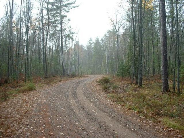 Lot 13 Forest Road Land O'Lakes, WI 54540 - Photo 1 of 3 Gallery Image 1