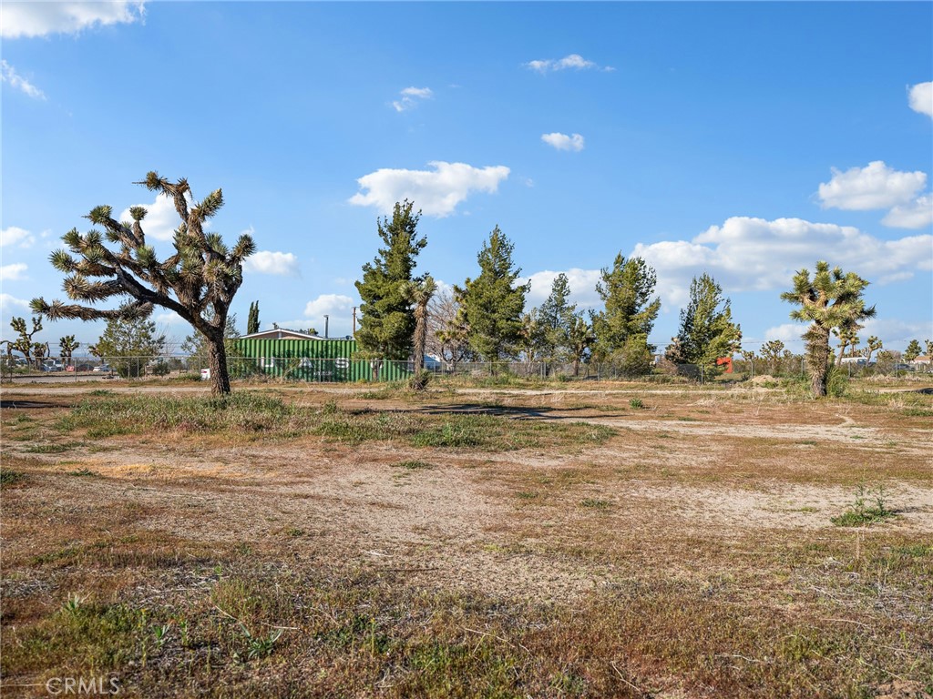 2826 Marco Road Phelan, CA 92371 - Photo 29 of 33 a view of a yard