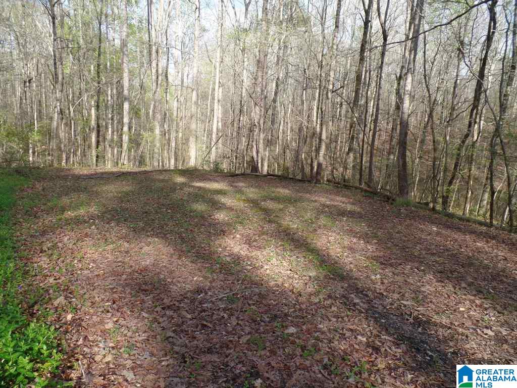 Azalea Street, Unit 2 51 Heflin, AL 36264 - Photo 7 of 14