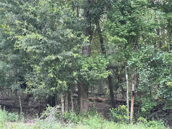 $39,900 | Tbd Southwest Reno Way, Fort White, FL 32038