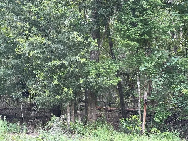 a backyard of a house with lots of trees