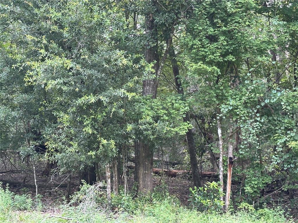 Tbd Southwest Reno Way Fort White, FL 32038 - Photo 1 of 6 a backyard of a house with lots of trees