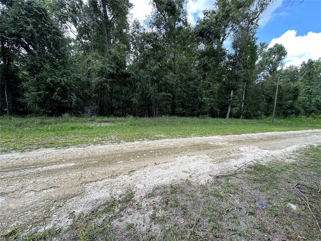Tbd Southwest Reno Way Fort White, FL 32038 - Photo 2 of 6 a view of a field of grass and trees