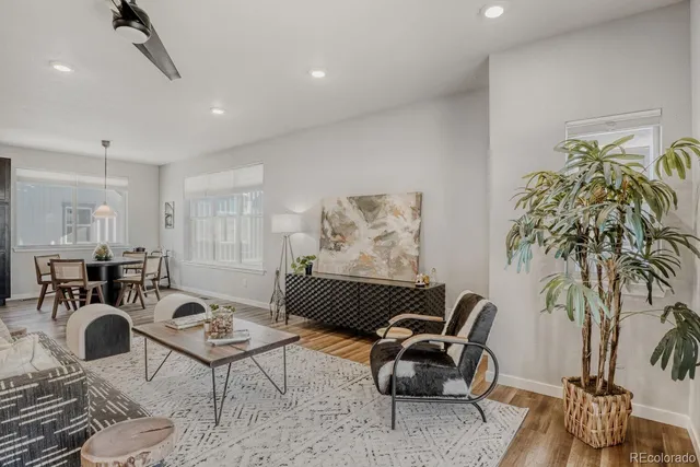 a living room with furniture and a potted plant