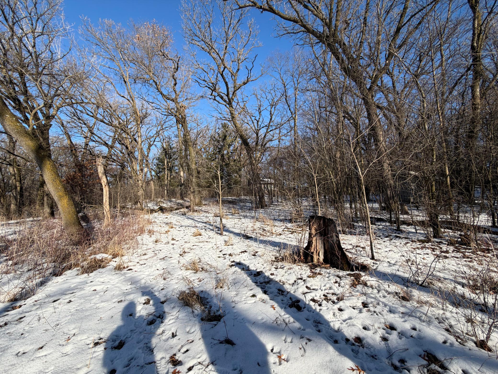 23897 890th Avenue Austin, MN 55912 - Photo 15 of 15