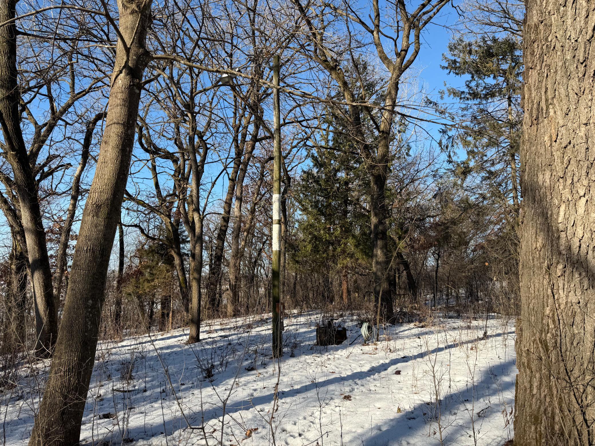 23897 890th Avenue Austin, MN 55912 - Photo 10 of 15