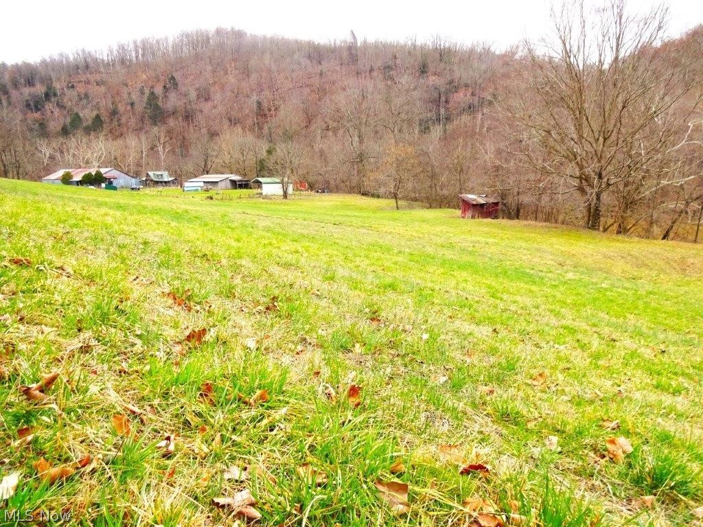 14479 Elk River Road Duck, WV 25063 - Photo 21 of 48