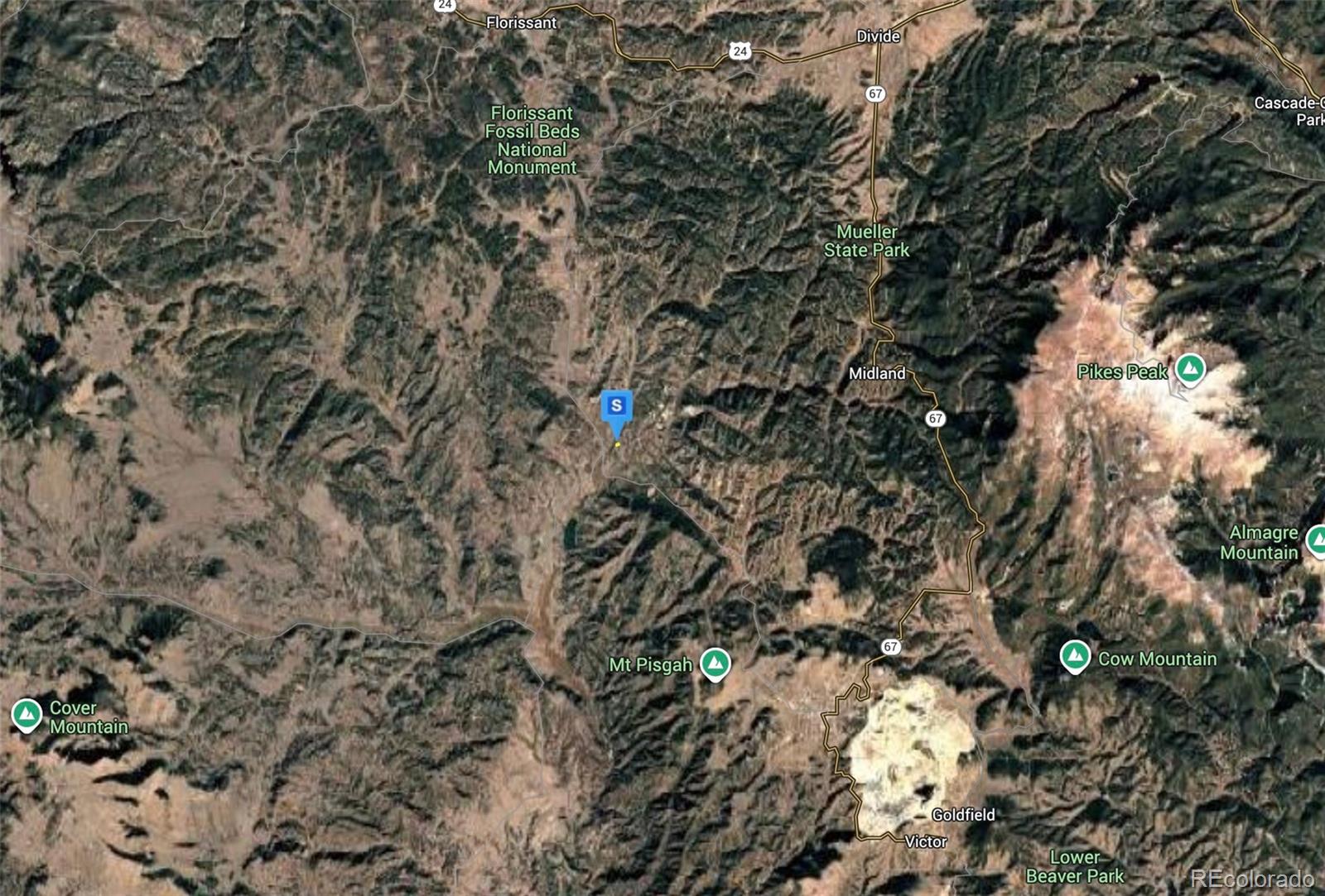 508 Ranch Resorts Drive Florissant, CO 80816 - Photo 3 of 4 a picture of tree