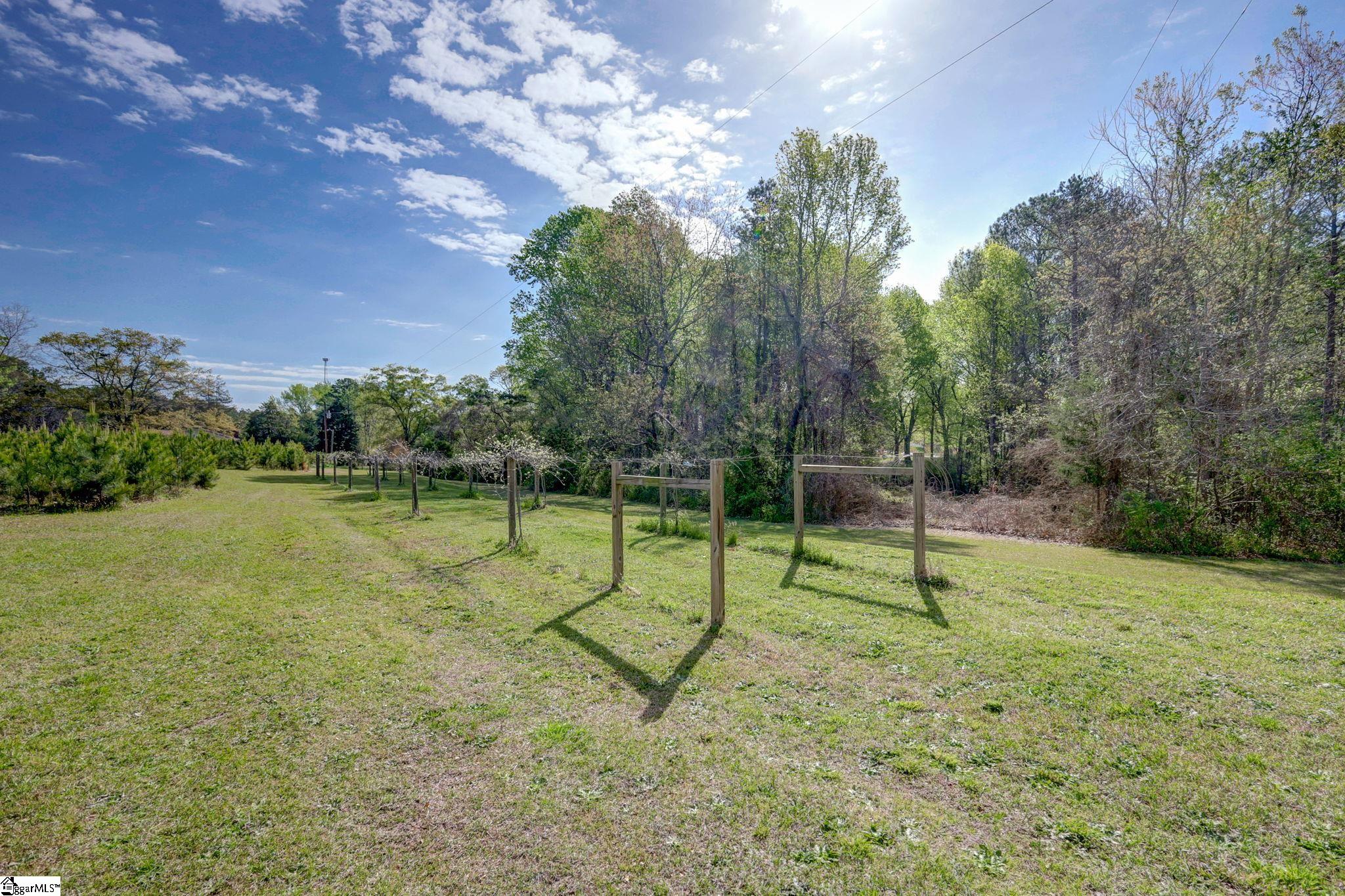 203 Highway 651 Fountain Inn, SC 29644 - Photo 2 of 13 Gallery Image 2