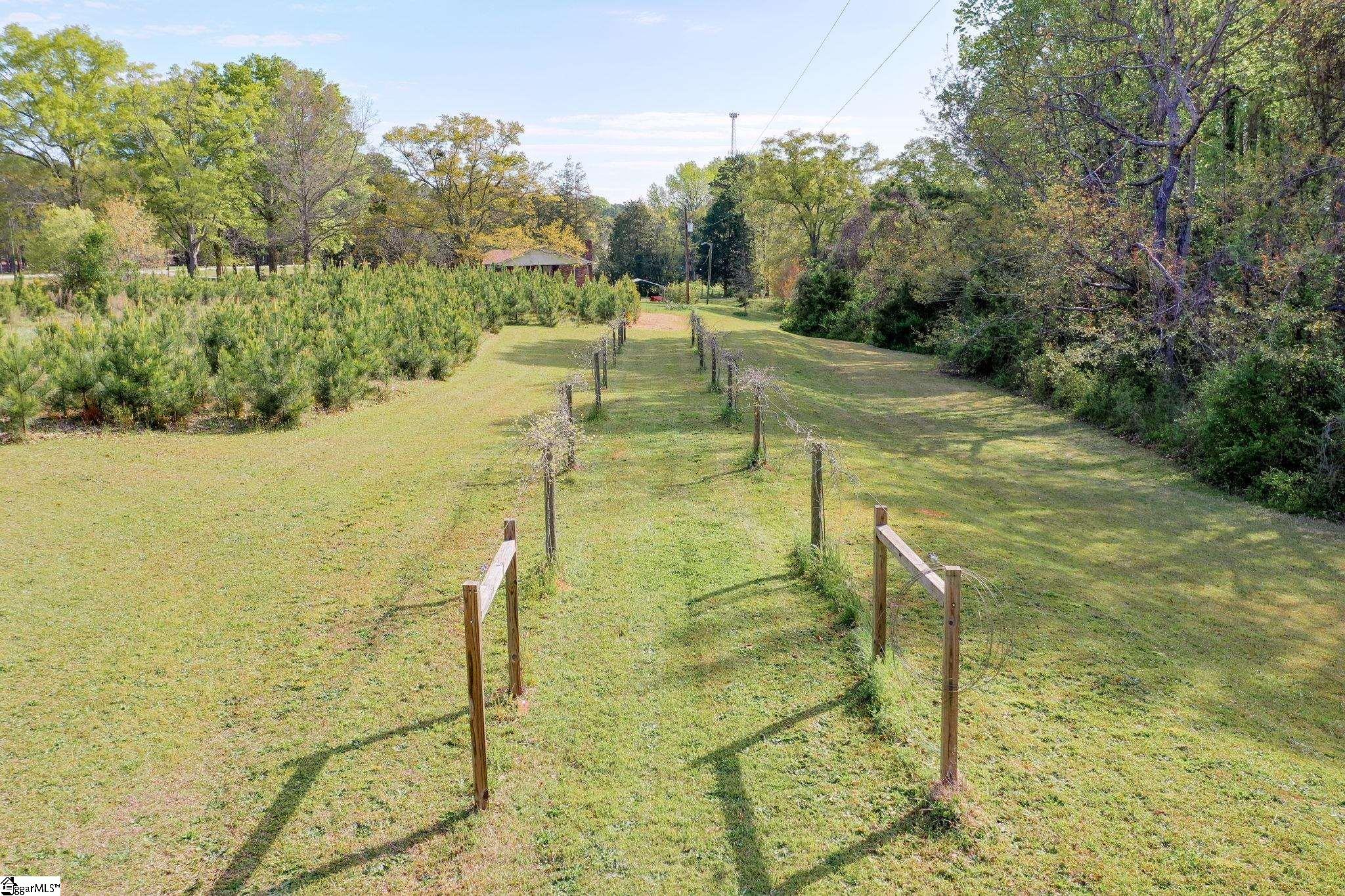 203 Highway 651 Fountain Inn, SC 29644 - Photo 3 of 13 Gallery Image 3