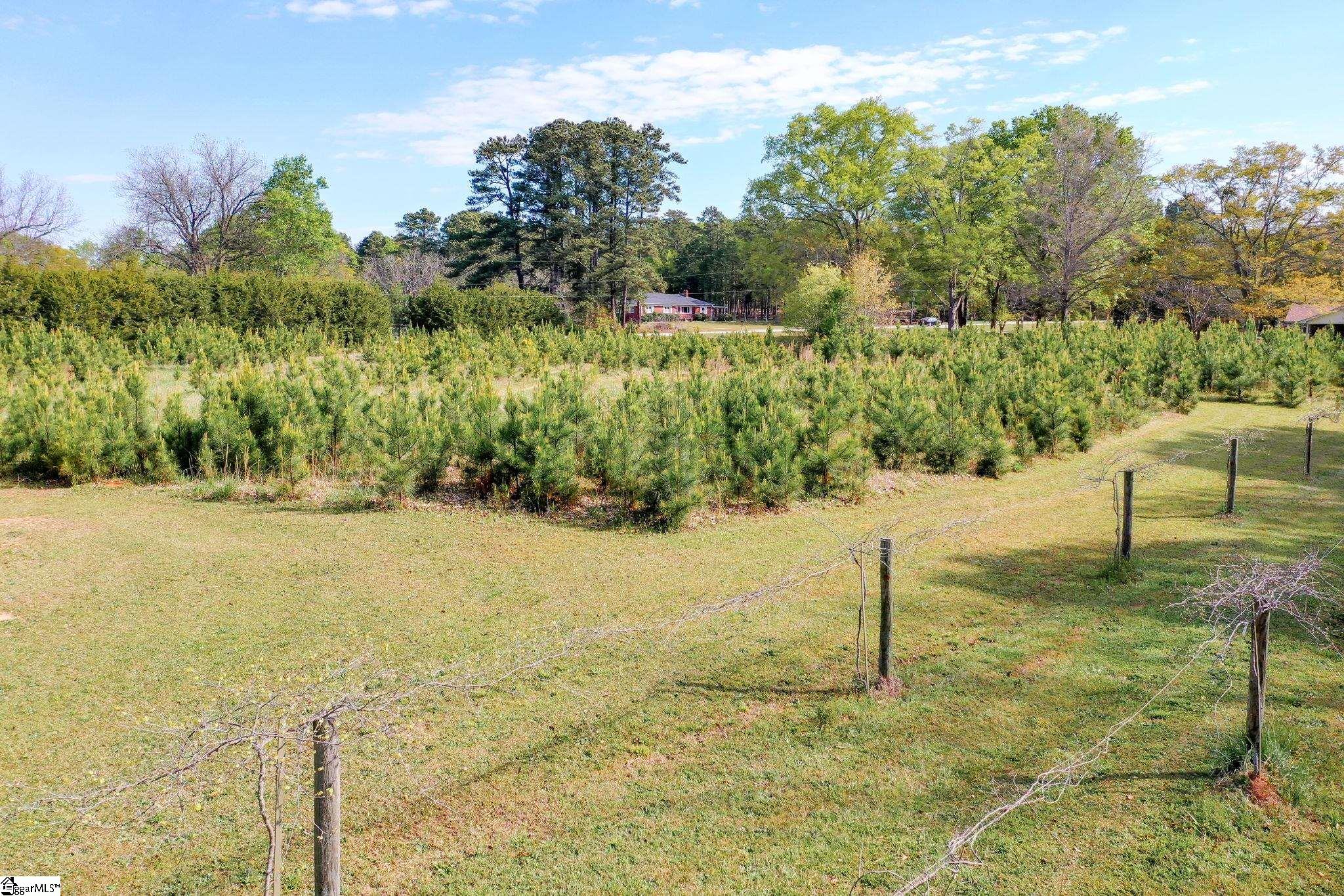 203 Highway 651 Fountain Inn, SC 29644 - Photo 4 of 13 Gallery Image 4