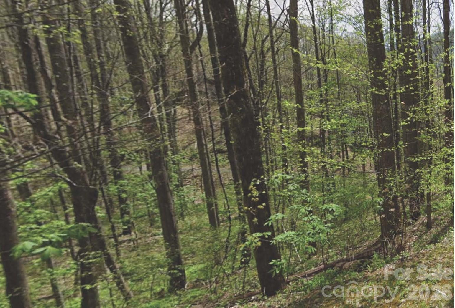 0 Heather Way Waynesville, NC 28786 - Photo 2 of 3