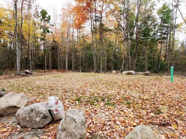 0 Gilpin Road Orland, ME 04472 - Photo 7 of 8 0 Gilpin Rd Leach Field