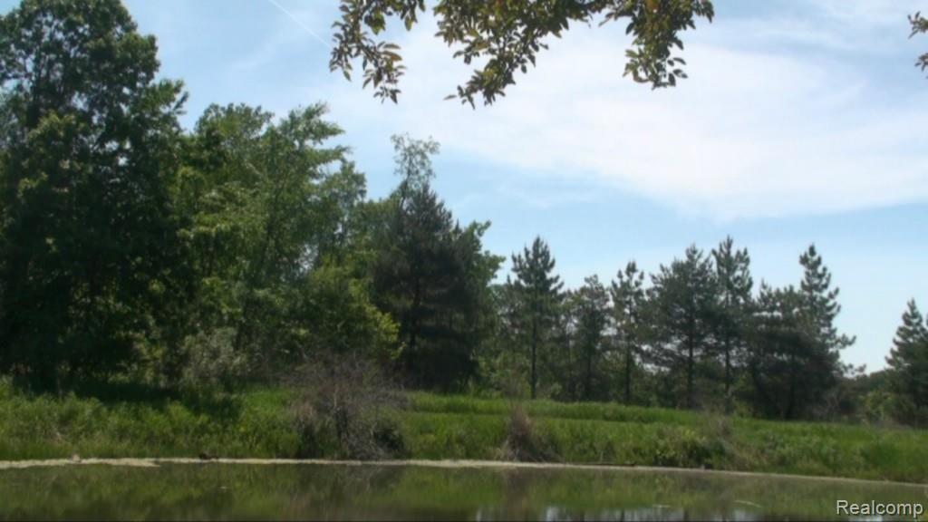 2136 Granger Road Oxford, MI 48371 - Photo 20 of 95 Manicured path around the pond and to large expanse of undeveloped land west side of property
