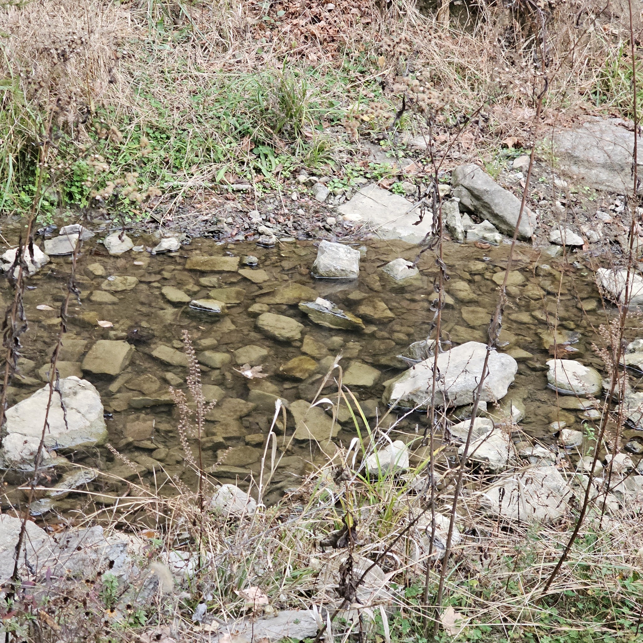 308 Pumpkin Hollow Road Liberty, TN 37095 - Photo 14 of 27 a picture of city view