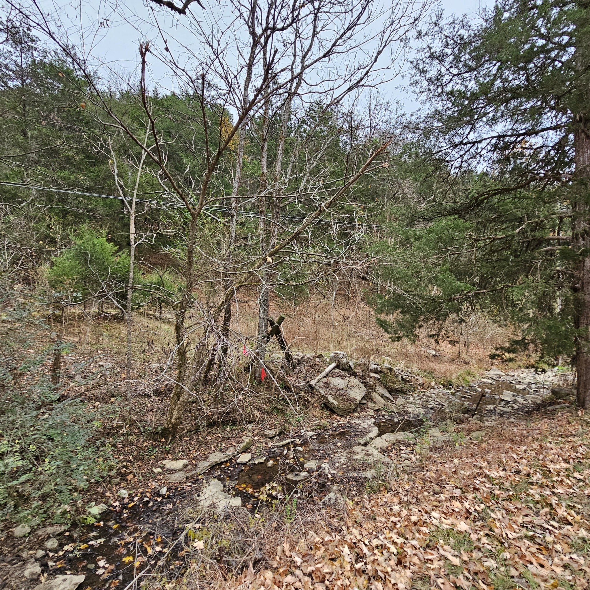 308 Pumpkin Hollow Road Liberty, TN 37095 - Photo 18 of 27 a view of a yard