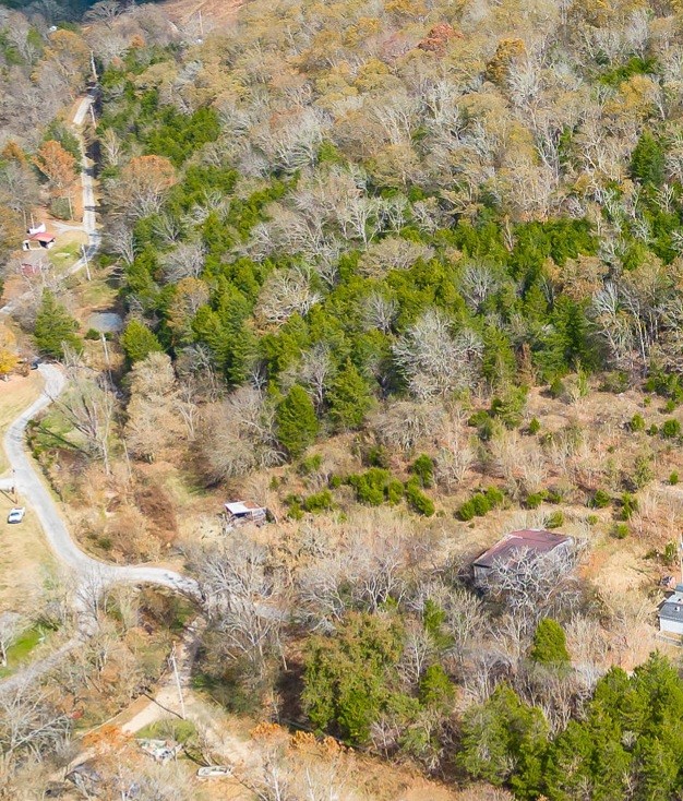 308 Pumpkin Hollow Road Liberty, TN 37095 - Photo 20 of 27 a view of a yard