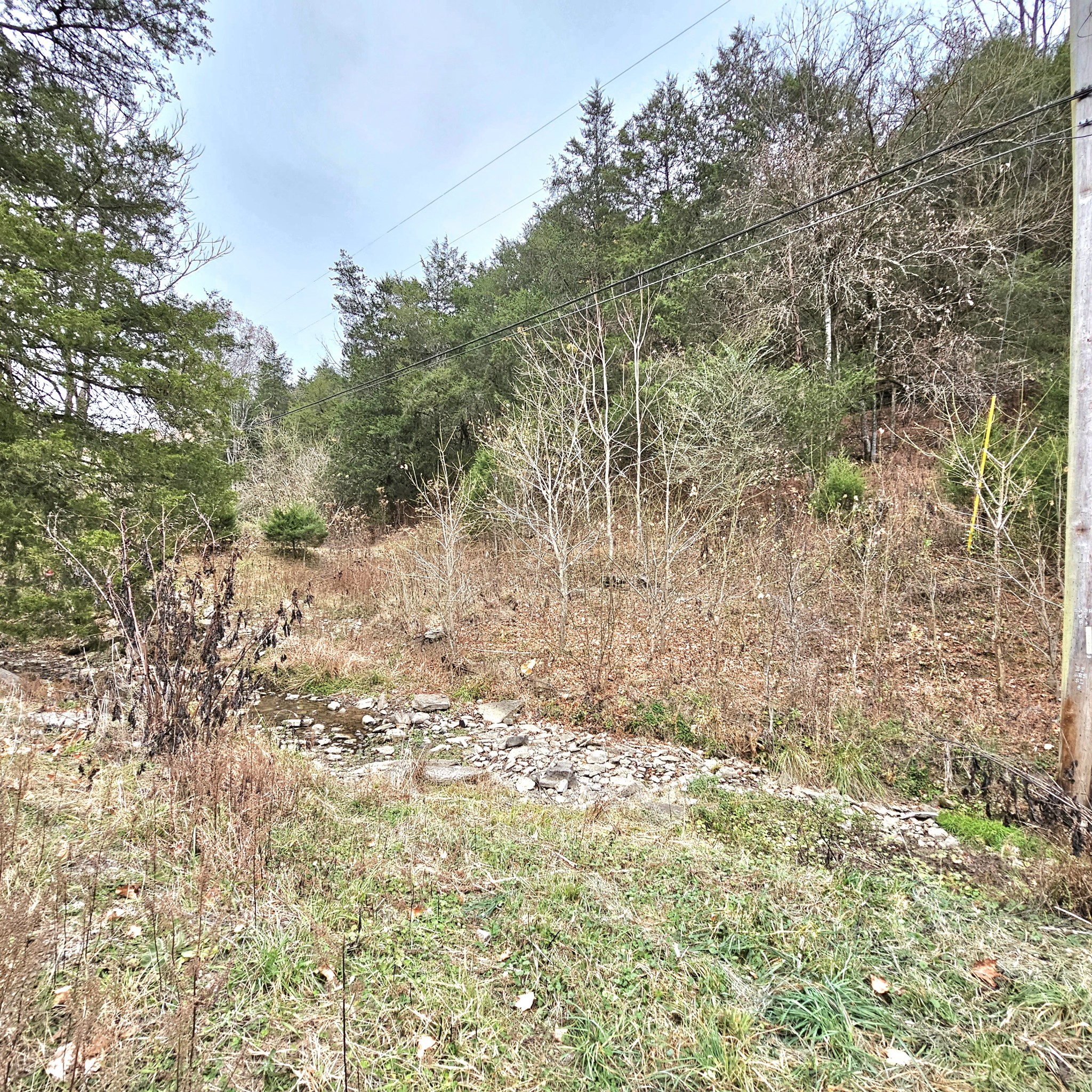 308 Pumpkin Hollow Road Liberty, TN 37095 - Photo 24 of 27 a view of a yard with a tree