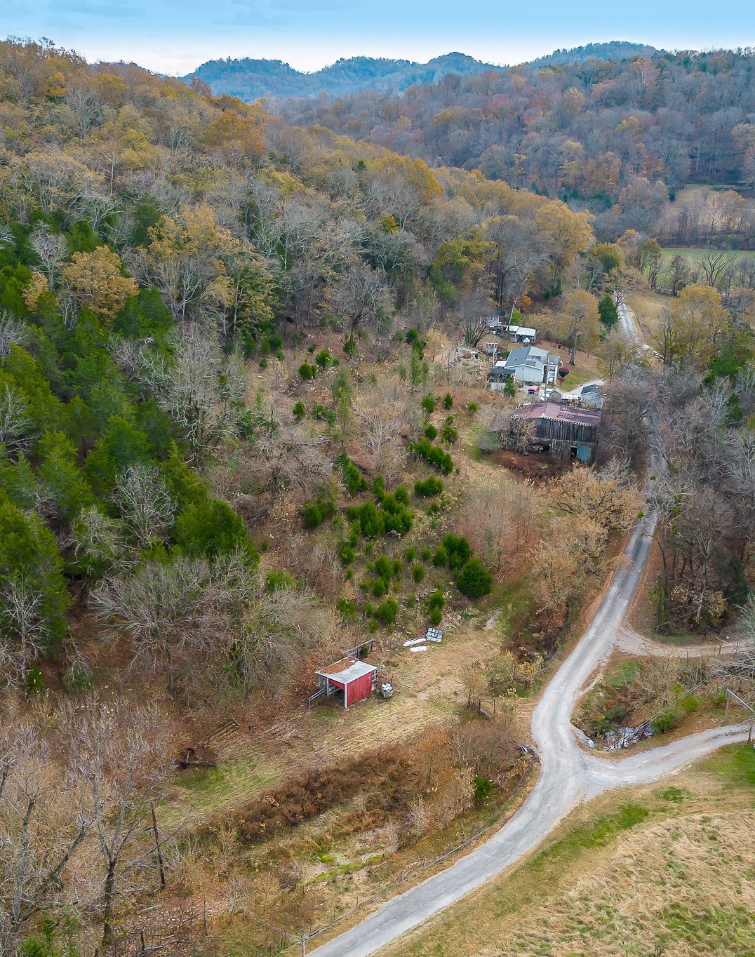 308 Pumpkin Hollow Road Liberty, TN 37095 - Photo 4 of 27 a view of a dry yard with trees