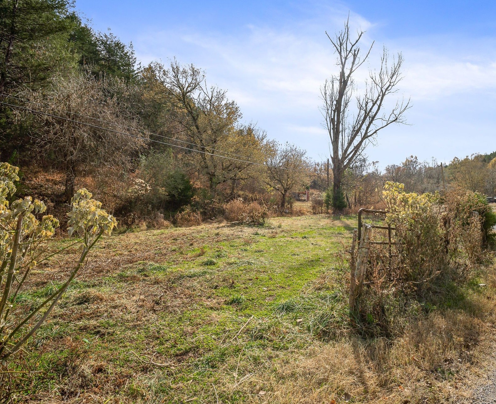 308 Pumpkin Hollow Road Liberty, TN 37095 - Photo 5 of 27 a view of a yard with trees