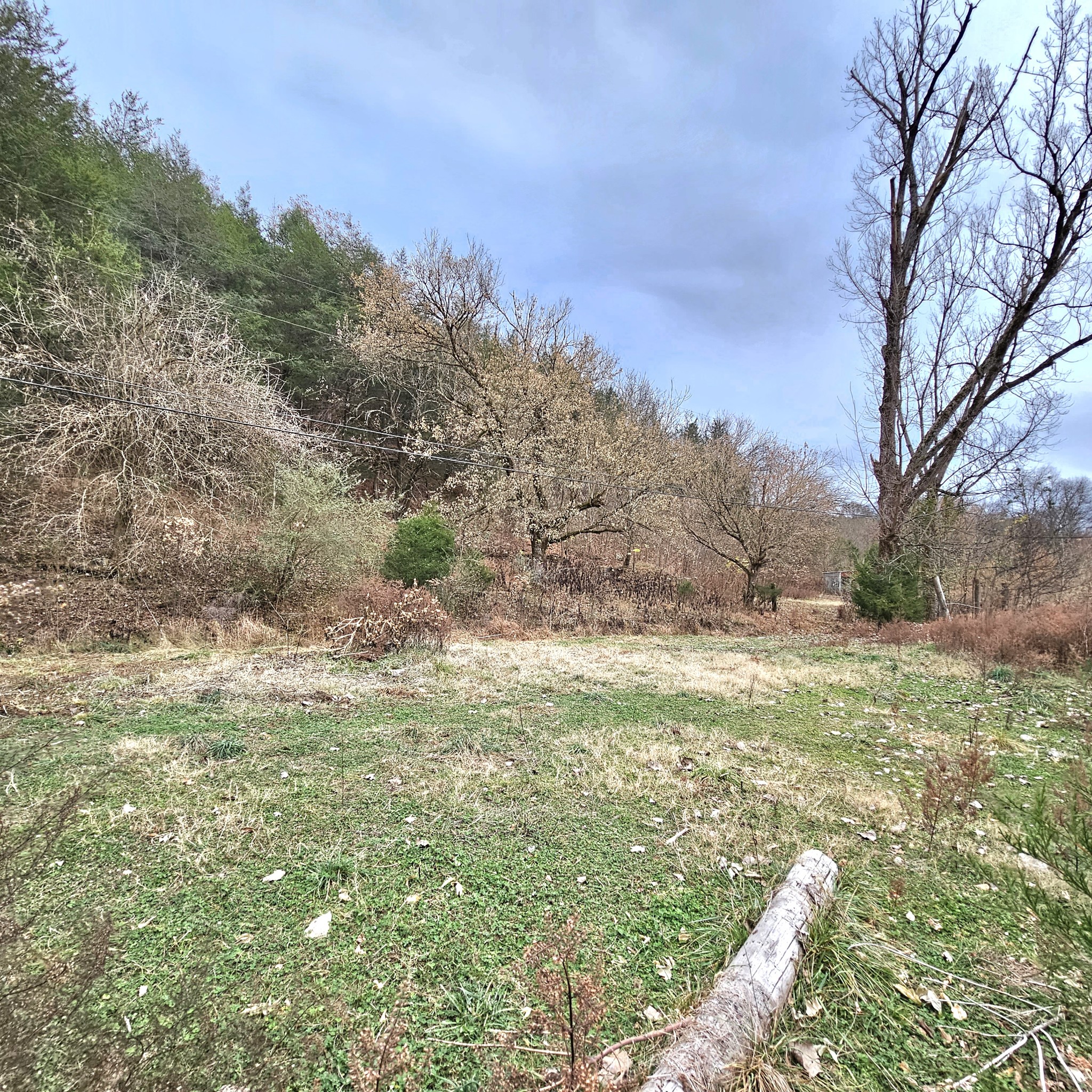 308 Pumpkin Hollow Road Liberty, TN 37095 - Photo 8 of 27