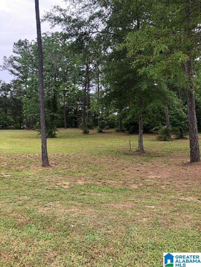 Gilead Estates Demopolis, AL 36732 - Photo 5 of 8