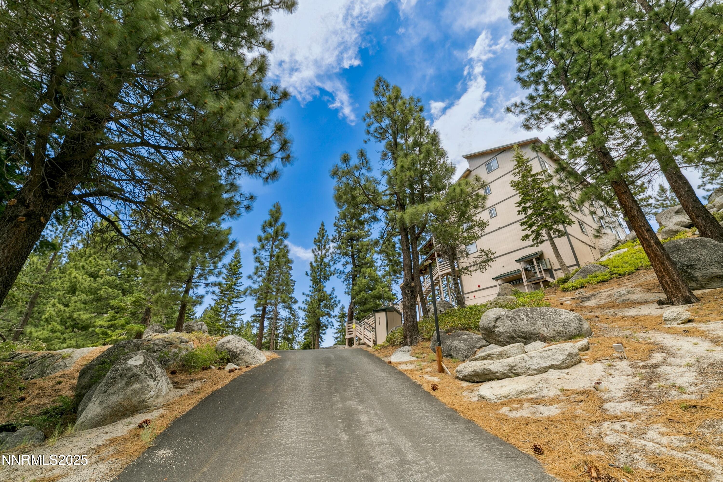 305 Galaxy Lane, Unit 3 Stateline, NV 89449 - Photo 15 of 49 a view of a yard with plants and trees