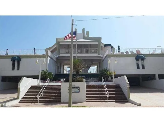 a picture of a potted plants by a beach