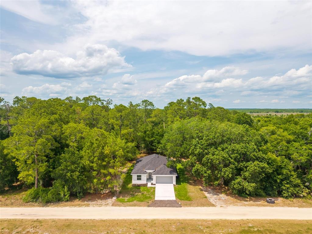 2132 Pine Meadows Golf Course Road Eustis, FL 32726 - Photo 50 of 62