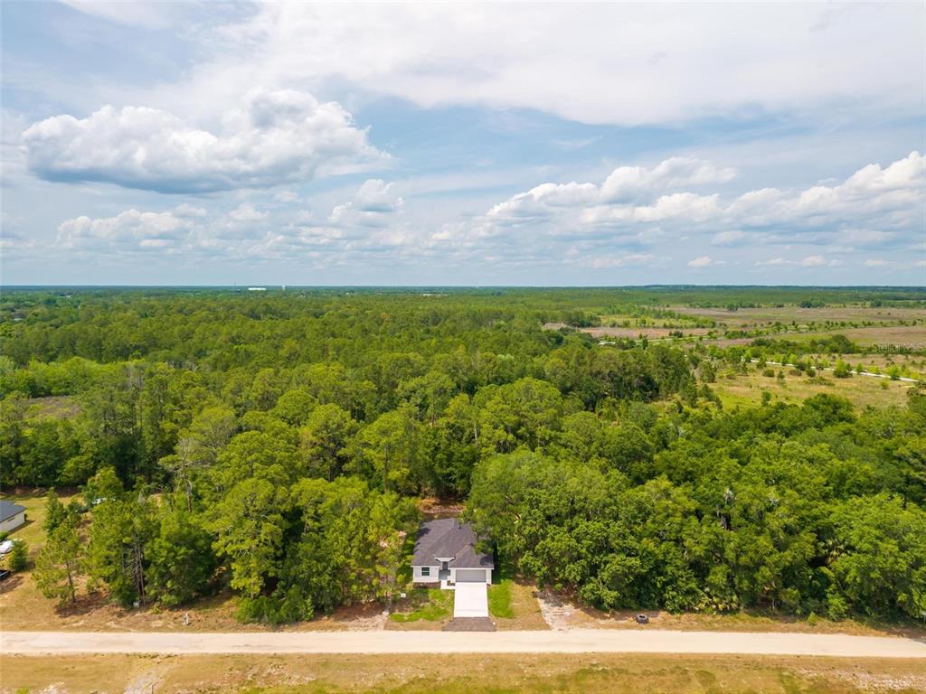 2132 Pine Meadows Golf Course Road Eustis, FL 32726 - Photo 51 of 62 a view of a yard with an outdoor space