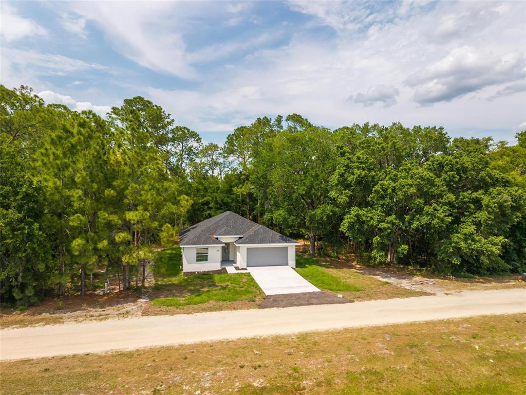 2132 Pine Meadows Golf Course Road Eustis, FL 32726 - Photo 60 of 62 a front view of a house with a yard and trees