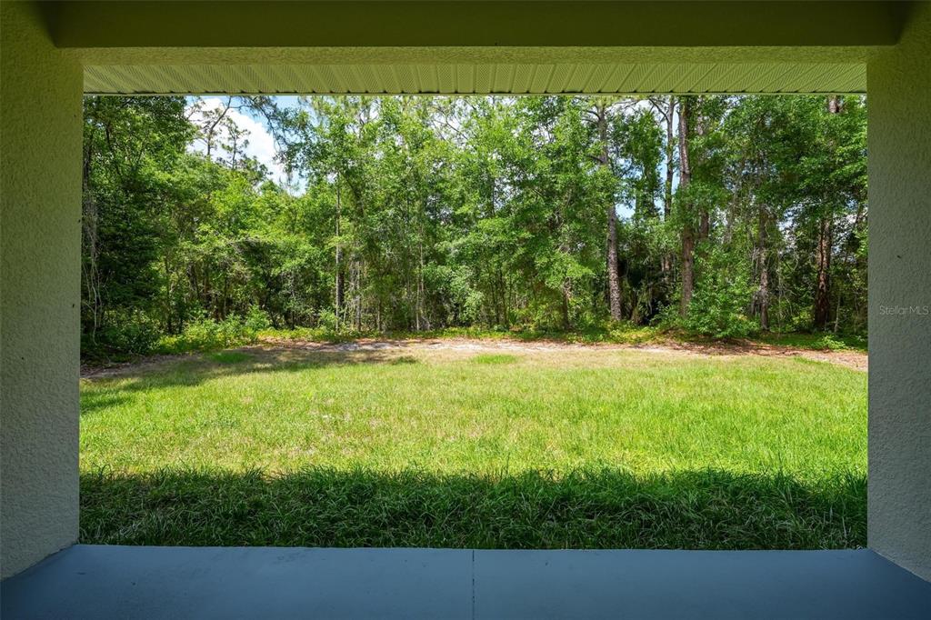 2132 Pine Meadows Golf Course Road Eustis, FL 32726 - Photo 62 of 62 a view of an outdoor space and a lake view