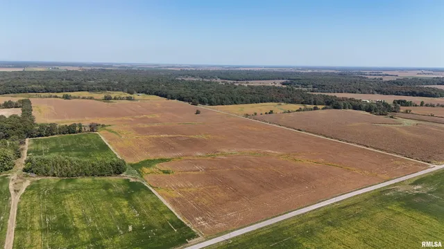 $812,000 | S Tallowtree Drive, Xenia, IL 62899