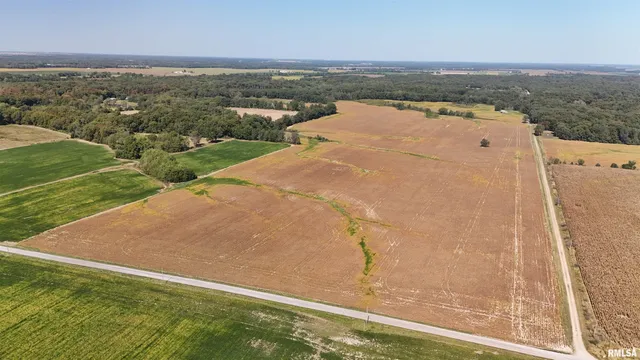 $812,000 | S Tallowtree Drive, Xenia, IL 62899