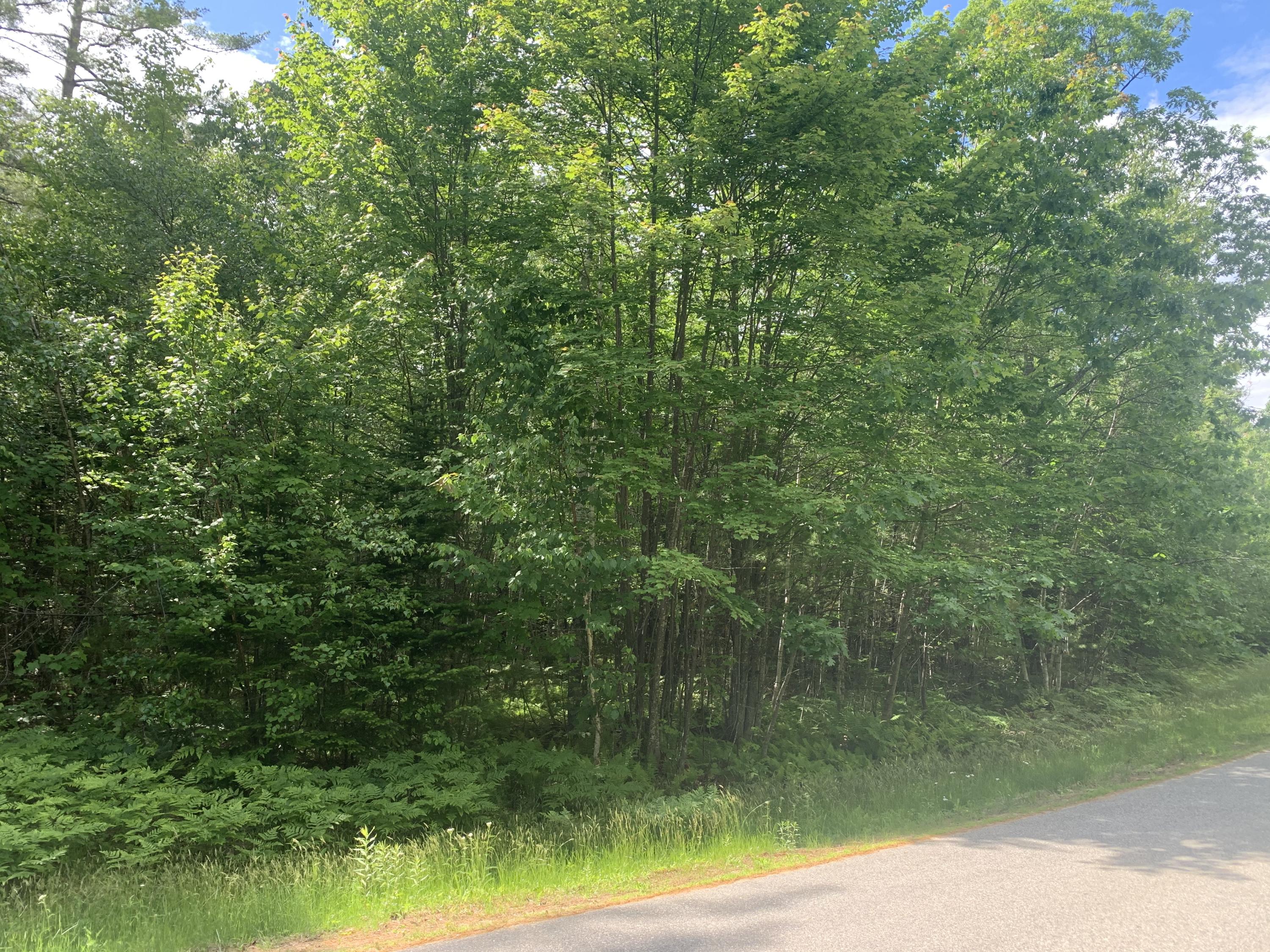 Lot 28 Deer View Road Bethel, ME 04217 - Photo 3 of 3 IMG-1051